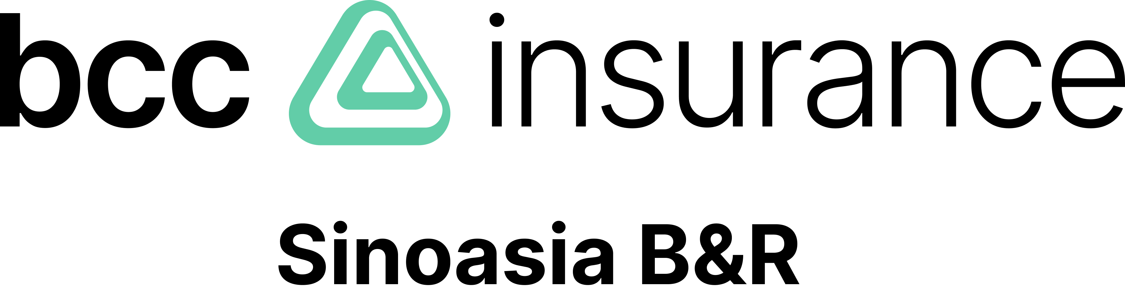 Sinoasia B&R Insurance